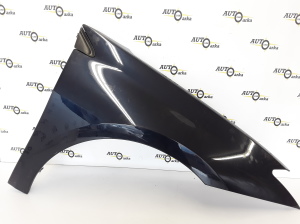 Front fender - 631000032R