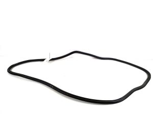 Opel Ampera E (2017–2026) Front door rubber seal - 2
