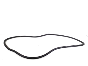 Opel Ampera E (2017–2026) Front door rubber seal - 2