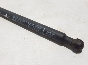 RENAULT Arkana (2019–2026) Hood prop/gas strut 654702757R - 2