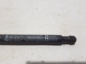RENAULT Arkana (2019–2026) Hood prop/gas strut 654705025R - 2