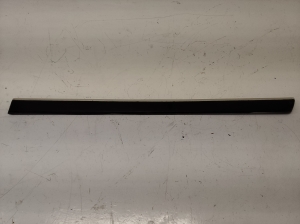 Rear side door molding - 7M3853525B