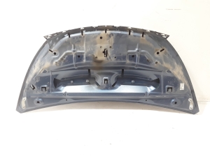 RENAULT Trafic III (2014–2022) Hood 651006346R - 2