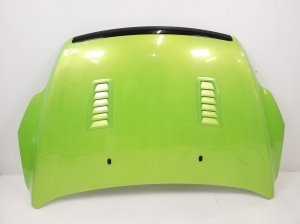Ford Focus (2004–2011) Motorhaube