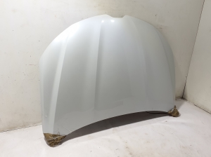RENAULT Arkana (2019–2026) Motorhaube 651001544R - 4