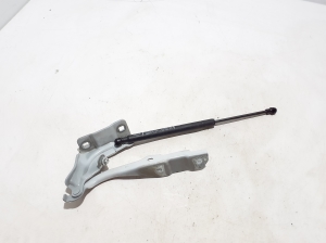 RENAULT Arkana (2019–2026) Hood hinge 654011786R - 2