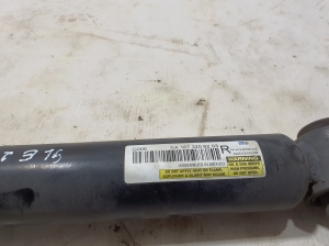 Mercedes Benz GLE-Class 167 (2019–2026) Stoßdämpfer hinten A1673206203 - 2