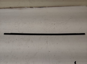 Rear side door outer window molding - 7542503