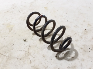 RENAULT Arkana (2019–2026) Rear spring 540100705R - 2