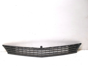 Front bumper lower grille - A1698850123