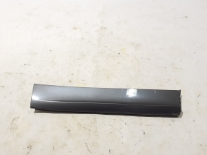Rear side door molding - 9Y0839096C