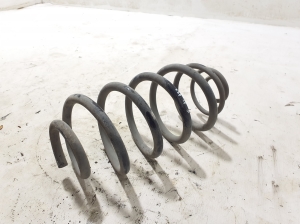 Peugeot Expert III (2017–2026) Rear spring 9824932080 - 2