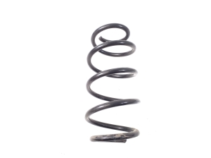 Rear spring - A2463242804