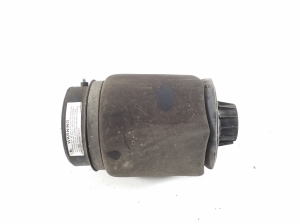 Luftfeder Hinterachse - A1643200625