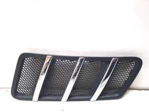 Motorhaubengitter - A1668800105