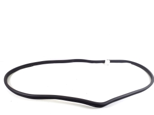   Front door rubber seal  - A1646900076 