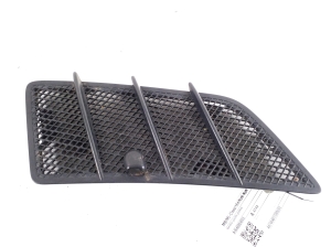   Motorhaubengitter  - A1648804805 