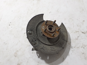 Rear wheel hub - 102741100D