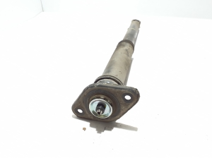 MG, ZS II (2017–2026) Rear shock absorber 10725870 - 2