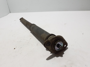 MG, ZS II (2017–2026) Rear shock absorber 10725870 - 2