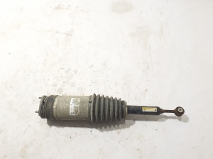 Rear shock absorber and its parts - 102746100G