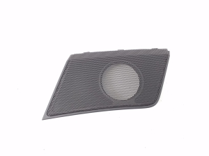 Speaker grille - 5540948030