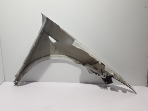 Tesla Model X X (2015–2026) Vorderer Kotflügel - 4