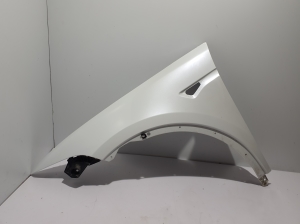 Tesla Model X X (2015–2026) Vorderer Kotflügel - 6