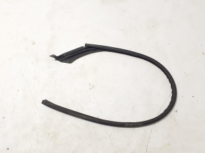 Tesla Model X X (2015–2026) Front door rubber seal 103214700C - 3