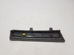 Tesla Model X X (2015–2026) Fensterschachtleiste außen Tür hinten 104135800C - 2