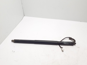 Trunk lid strut - 106566400A