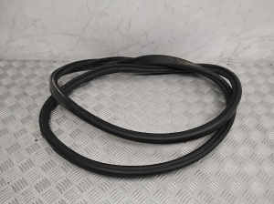   Trunk seal (on body)  - 7440480 
