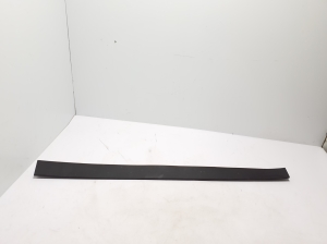 Front door molding - 103512000D