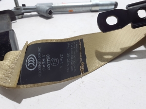 Tesla Model X X (2015–2026) Sicherheitsgurt vorne 113673206D - 4