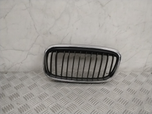   Front grille  - 7300543 