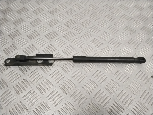   Hood prop/gas strut  - 7300535 