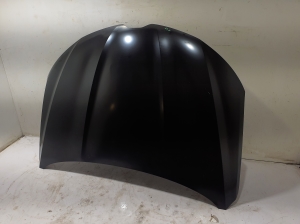 Motorhaube - 651001544R