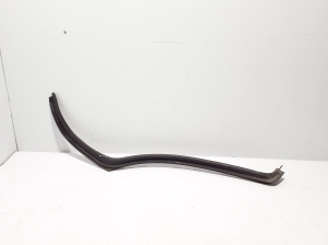   Rear side door seal on the door  - A1677325500 