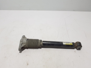   Stoßdämpfer hinten  - A1673207800 