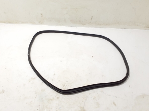   Front door rubber seal  - 769216924R 