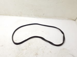   Front door rubber seal  - 769216924R 