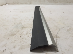 MG, ZS II (2017–2026) Front door molding 10360762 - 4