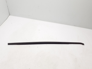   Rear side door outer window molding  - 828329406R 