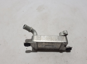 RENAULT 5- I (2024–2026) Other radiator 295E34374R - 2