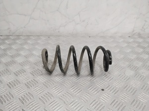   Rear spring  -  