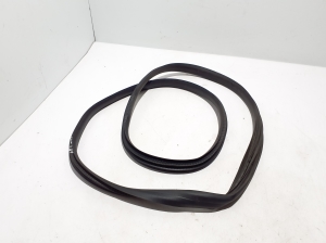   Rear side door seal on the door  - 769238006R 