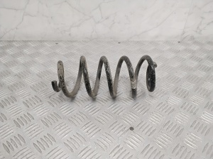 Rear spring