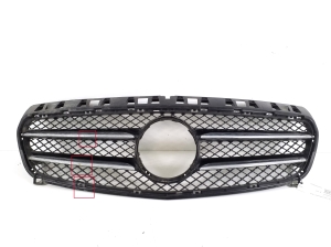 Front grille - A1768880260
