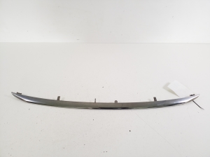 Front grille chrome trim - 9802524577
