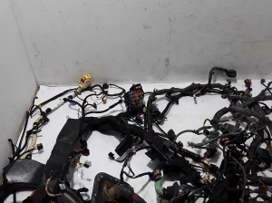 Porsche Panamera 970 (2009–2016) Interior wiring harness 97061290100 - 2
